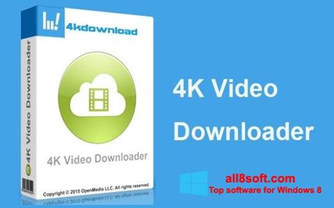 截圖 4K Video Downloader Windows 8