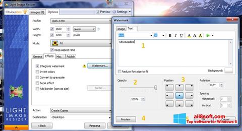 截圖 Light Image Resizer Windows 8