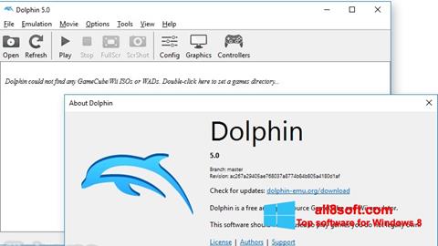 截圖 Dolphin Windows 8