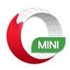 Opera Mini Windows 8