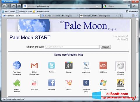截圖 Pale Moon Windows 8