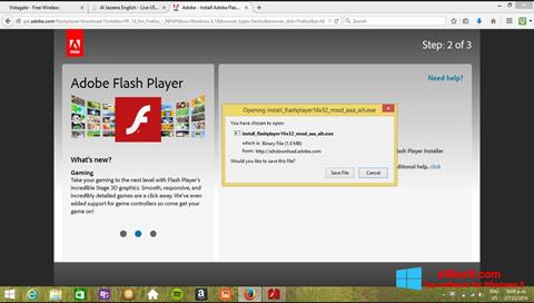 截圖 Adobe Flash Player Windows 8
