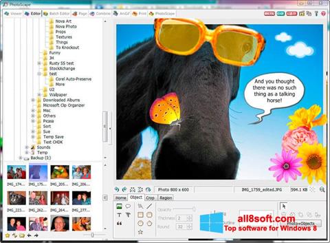 截圖 PhotoScape Windows 8